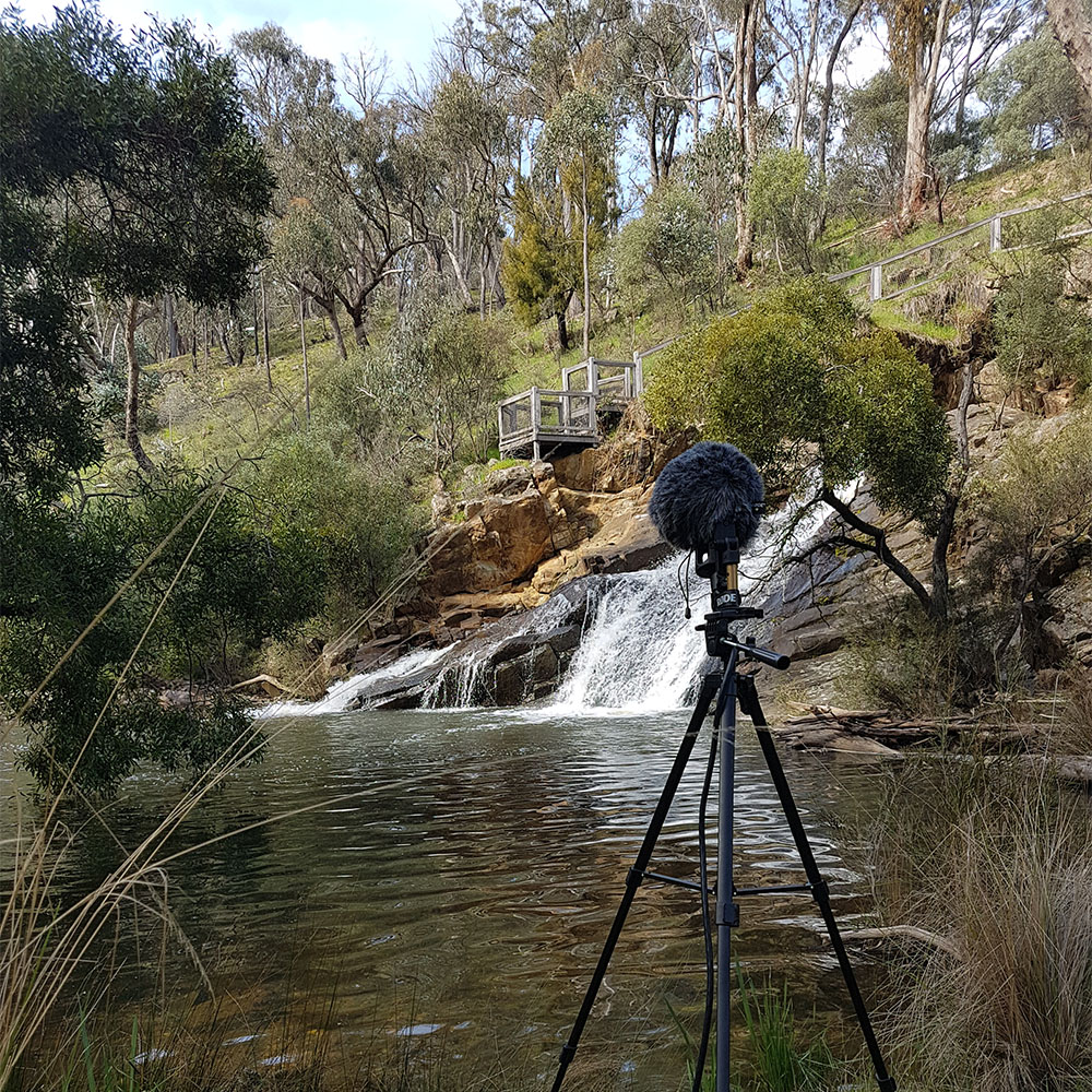 Hepburn Blowhole
