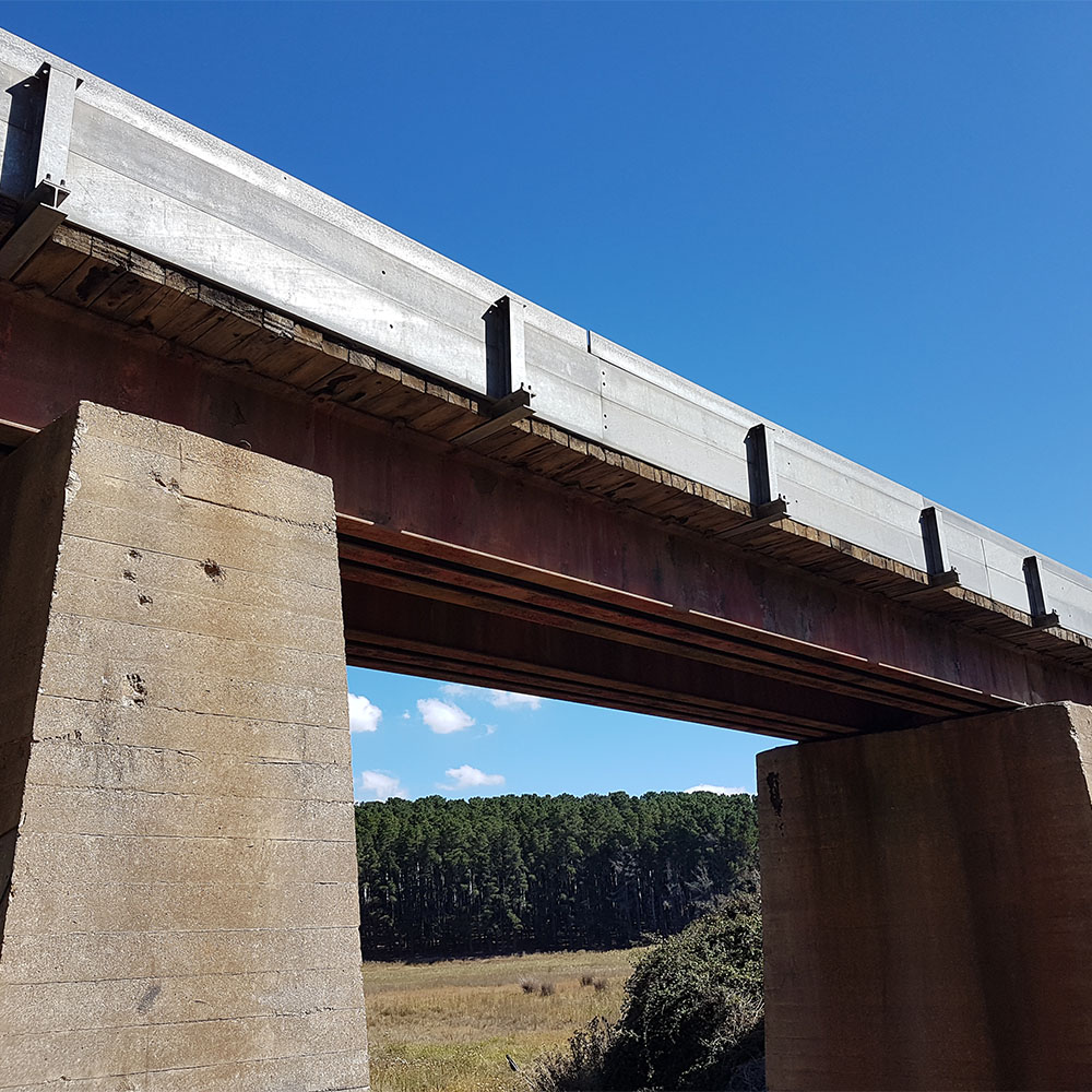 Dogs Running Over Bridge