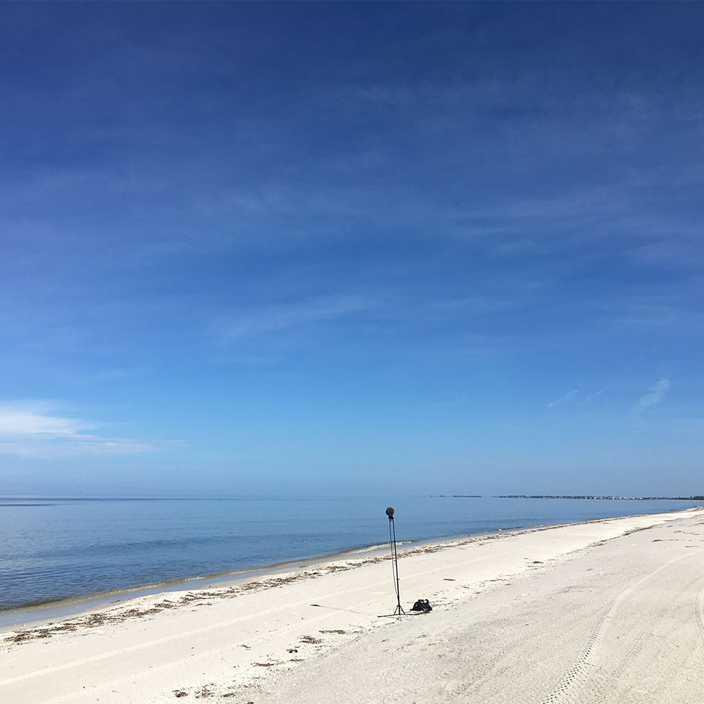 30 Feet from Shore