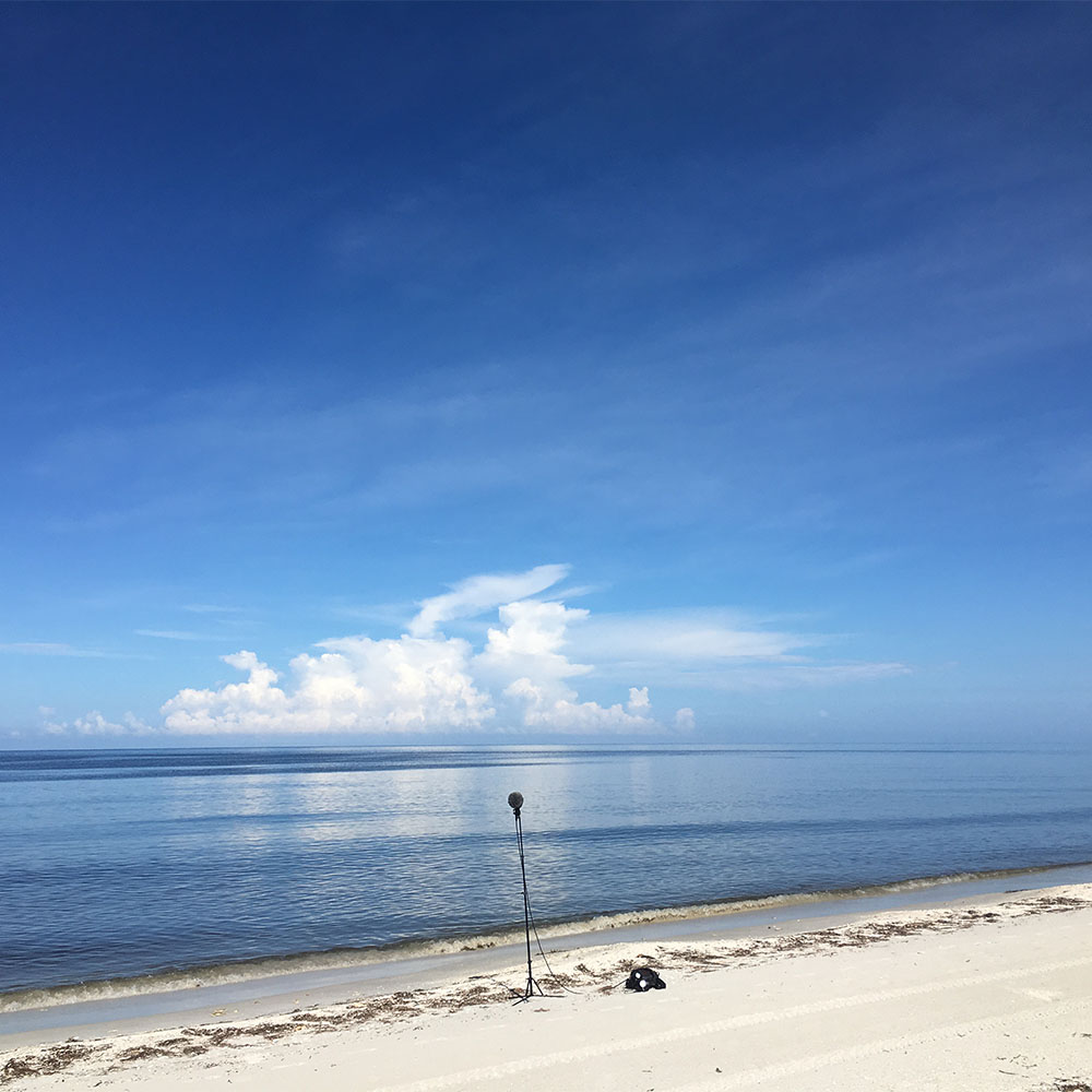 10 Feet from Shore
