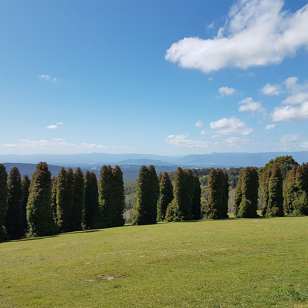 Olinda Arboretum