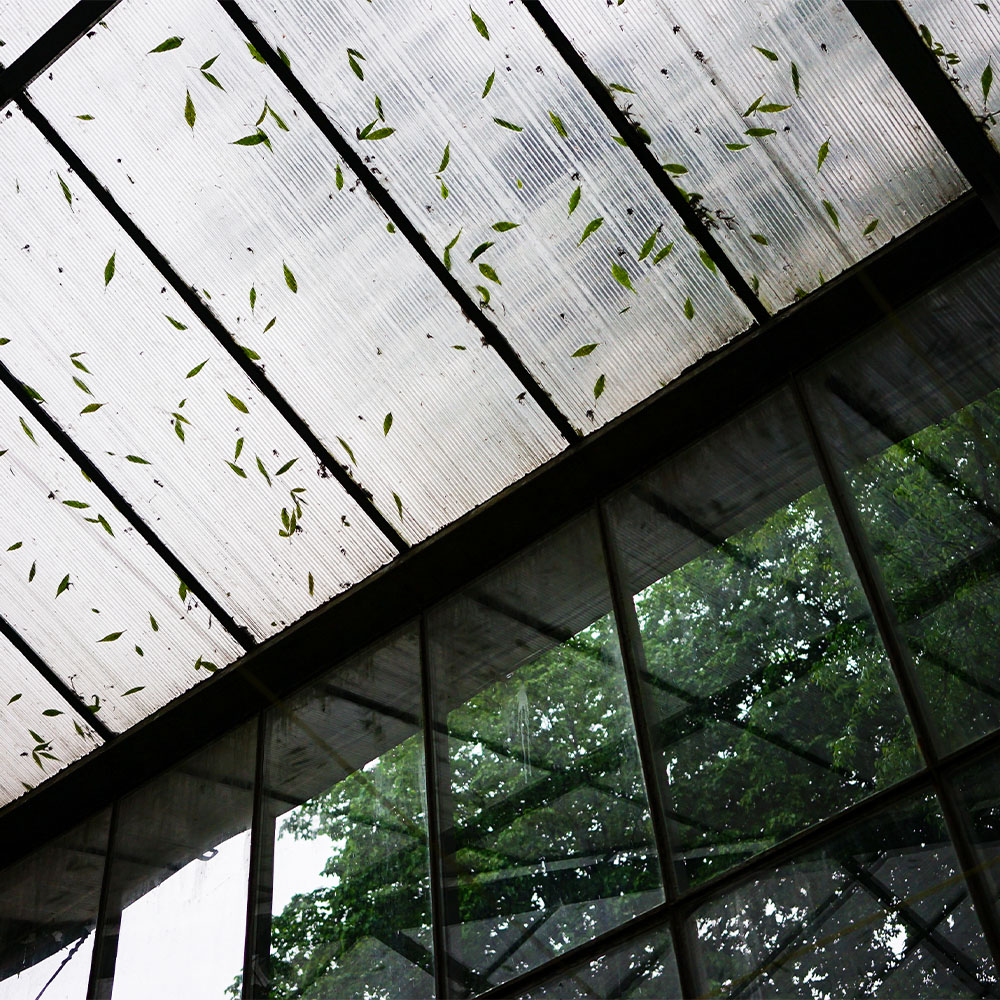 Heavy Rain in Large Greenhouse
