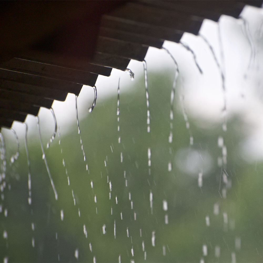 Tin Shed Rain