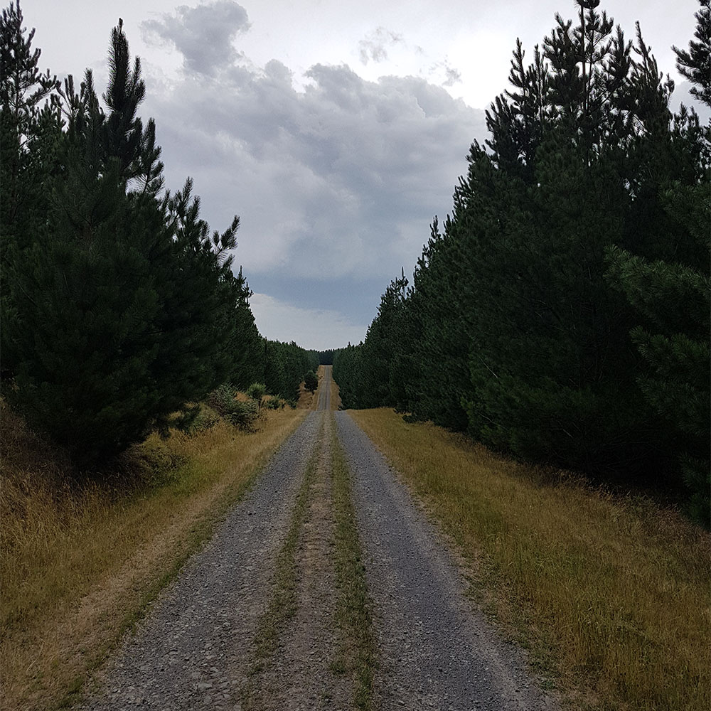 Walking on Gravel