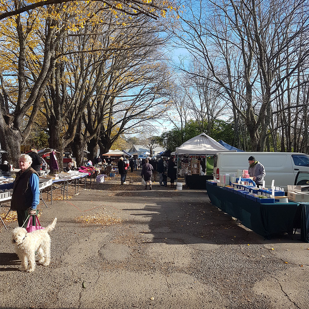 Rural Market Crowd