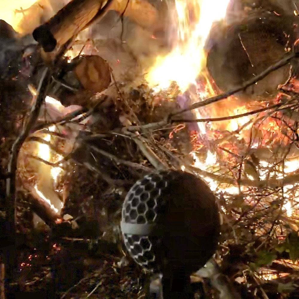 New Year's Campfire 2